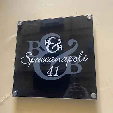 Apartmán Spaccanapoli 41 Neapol